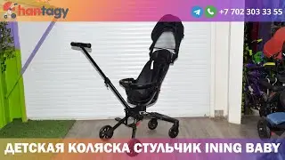Детская коляска стульчик Ining baby с козырьком