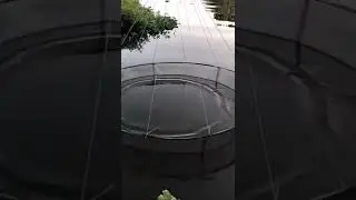 cool #funny #love #shorts #youtubeshorts #viral #trending #tiktok