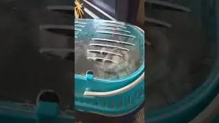 Чистенько у Шарика🧹🧹🧹