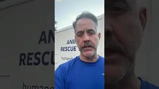 Helping pets and people after Hurricane Helene