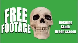 CopyrightFree stock footage Human skull on a green screen background