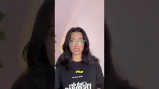 What is a Bull Market? 