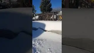 25 января 2024 г.