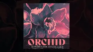 Analog Lab Preset Bank - 