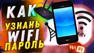 как узнать пароль от вайфая на телефоне