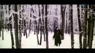 Красная стрела