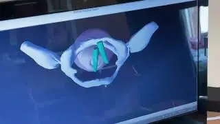 Учебный центр ППи СО ГомГМУ