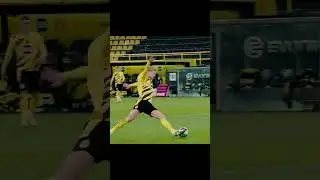 #холанд