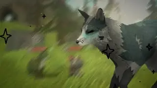 Зеркало... /тренды//тт/