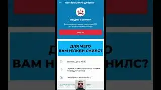 Номер СНИЛС - как узнать онлайн