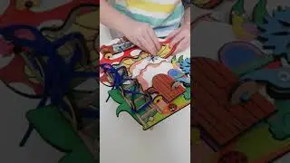 Бизи - гриб
