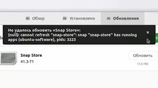 Unable to update Snap Store