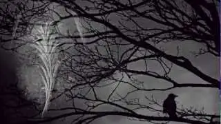 Koyaanisqatsi Philip Glass