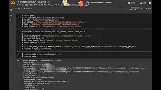(Python)How to Use Twitter Search API