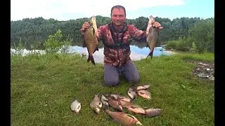 ЛОВЛЯ ЛЕЩА на ДОНКИ ! РЫБАЛКА на ОКЕ ! Рыбалка в Рязанской области!
