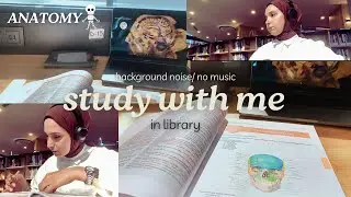 STUDY WITH ME REAL TIME, ANATOMY