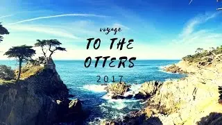 voyage to the otters | travel album