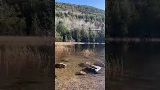 Peaceful Lake in Acadia National Park