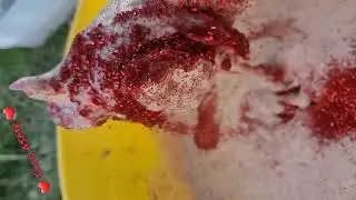 ASMR, GLITTER, ICE AND POWDERBOMBS