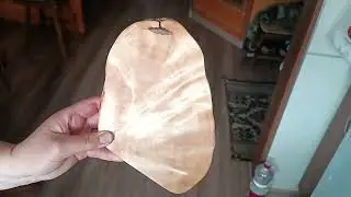2 июня 2024 г.
