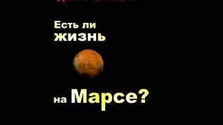 АЛИБИ. Жизнь прекрасна