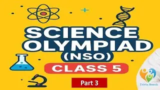 NSO | National Science Olympiad | Class 5 | 40 MCQs with Answers | SOF | Science Olympiad | Part 3