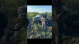 Mud Truck Stuck #awesome #automobile #truck #mud