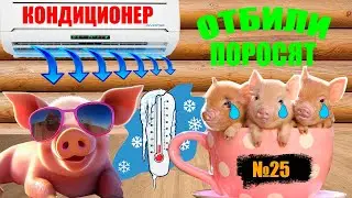 ДЕЛА САРАЙНЫЕ!!!УСТАНОВИЛ КОНДИЦИОНЕР В САРАЙ!!!СПАСАЕМ ПОРОСЯТ ОТ ЖАРЫ!!!👍👍👍