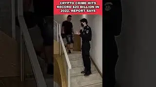 Crypto crime hits record $20 billion in 2022, report says