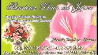 Floristerías en Neiva