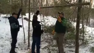 Building a Whelan Shelter