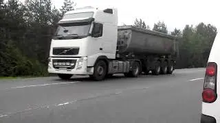 Тащим домой Жужик