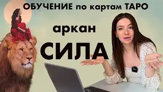 Обучение по картам таро. Значение аркана «Сила»