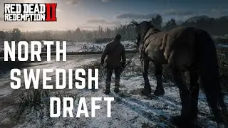 New Horse │ North Swedish Draft Horse - Red Dead Redemption 2 - Modded PC