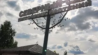 Питомник растений 