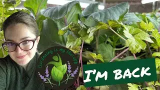March Garden & Grow Room Tour, Seed Unpacking