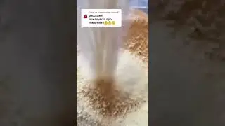 Что такое трутневый гомогенат?