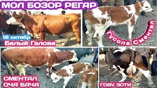 Мол бозор Регар Нархои гову гусаладор ва Гову бигиз / Сментал оча бача