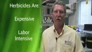 What To Expect When Using Tropical Soda Apple Control Agents