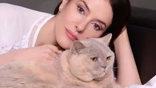 Inspired by My Cat: The Betty Palette