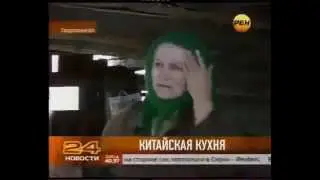 что выращивают китайцы на нашей земле