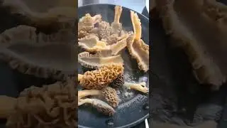 Cooking Morel mushrooms in garlic butter sauce #morels #mushroomrecipe #morelmushrooms