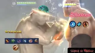 wanwan vs minotour - meme