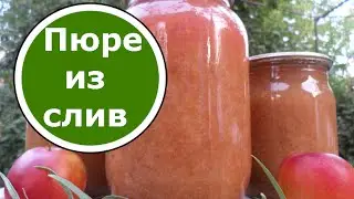 Plum Puree for Winter for Children and Adults! NO STERILIZATION!