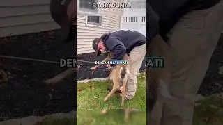 SUNGGUH MALANG!!! rusa ini... #storydunia #animals #moments  #AnimalRescue #shorts #life