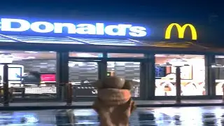 Baby Yoda goes to McDonald's