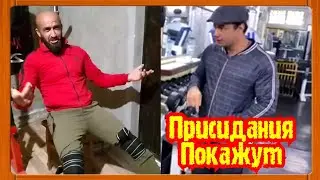 Домашний Качок или Фейк?