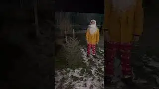 С Новым годом друзья