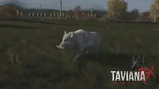 Dev Vlog #10 - AI - Animals