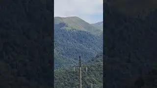 პანკისის ხეობა Pankisi